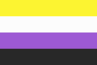 nonbinary flag